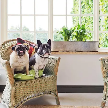 The Manor At Moyglare House *