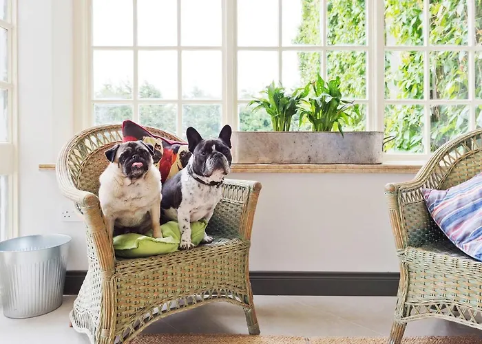 The Manor At Moyglare House *